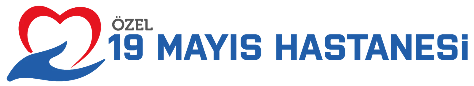Özel 19 Mayıs Hastanesi logosu