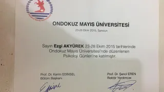 Psk. Ezgi Akyürek Ayyıldız profilinde yer alan galeri fotoğrafı.