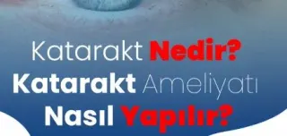 Prof. Dr. Yüksel Totan profilinde yer alan galeri fotoğrafı.