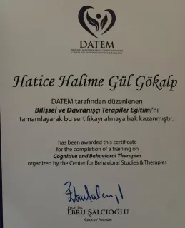 Psk. Hatice Halime Gül Gökalp profilinde yer alan galeri fotoğrafı.