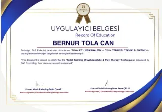Psk. Bernur Tola profilinde yer alan galeri fotoğrafı.
