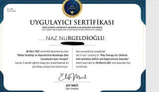 Psk. Naz Nurgeldioğlu profilinde yer alan galeri fotoğrafı.