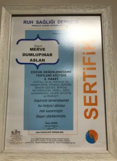Kl. Psk. Merve D. Aslan profilinde yer alan galeri fotoğrafı.