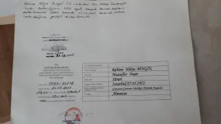 Uzm. Dr. R. Hülya Bingöl Çağlayan profilinde yer alan galeri fotoğrafı.
