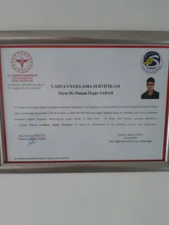 Dr. Osman Özgür Sabah profilinde yer alan galeri fotoğrafı.