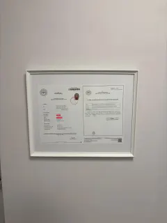Kl. Psk. Ege Taneri profilinde yer alan galeri fotoğrafı.