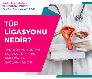 Op. Dr. Cennet Ay Tok profilinde yer alan galeri fotoğrafı.