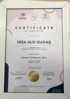 Kl. Psk. Nisa Nur Yıldıran profilinde yer alan galeri fotoğrafı.