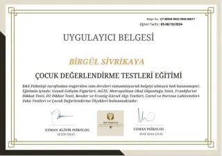Psk. Birgül Sivrikaya profilinde yer alan galeri fotoğrafı.