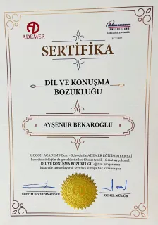 Ayşenur Bekaroğlu profilinde yer alan galeri fotoğrafı.
