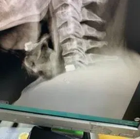 Op. Dr. Mehmet Uluçay profilinde yer alan galeri fotoğrafı.