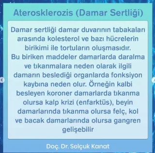 Doç. Dr. Selçuk Kanat profilinde yer alan galeri fotoğrafı.