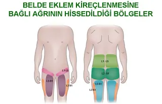 Prof. Dr. Mehmet Arif Yeğin profilinde yer alan galeri fotoğrafı.