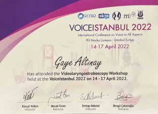Dkt. Gaye Altınay profilinde yer alan galeri fotoğrafı.
