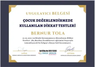 Psk. Bernur Tola profilinde yer alan galeri fotoğrafı.