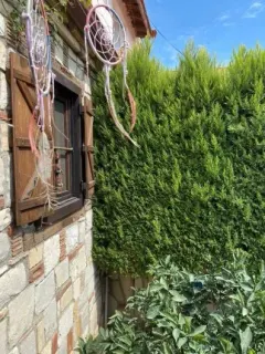 Kl. Psk. Hazal Tanrıyakul profilinde yer alan galeri fotoğrafı.