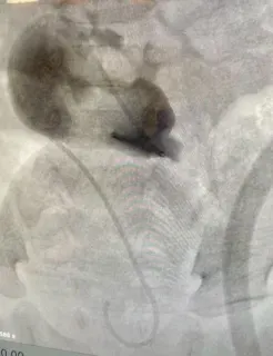 Prof. Dr. Tarkan Soygür profilinde yer alan galeri fotoğrafı.
