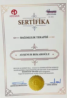 Ayşenur Bekaroğlu profilinde yer alan galeri fotoğrafı.
