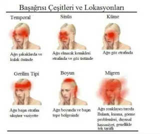 Doç. Dr. Hatice Köse Özlece profilinde yer alan galeri fotoğrafı.