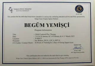 Psk. Begüm Yemişci profilinde yer alan galeri fotoğrafı.