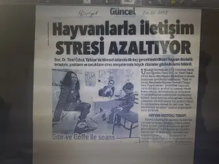 Uzm. Dkt. Betül Kök profilinde yer alan galeri fotoğrafı.