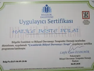 Kl. Psk. H.Beste Polat Varlı profilinde yer alan galeri fotoğrafı.