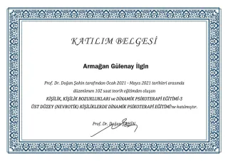 Kl. Psk. Armağan Gülenay profilinde yer alan galeri fotoğrafı.
