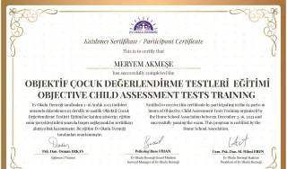 Psk. Meryem Akmeşe profilinde yer alan galeri fotoğrafı.
