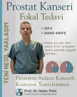 Prof. Dr. Hakkı Perk profilinde yer alan galeri fotoğrafı.