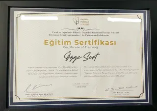 Psk. Özge Sert profilinde yer alan galeri fotoğrafı.