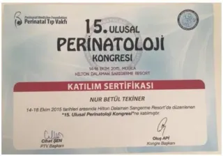 Uzm. Dr. Nur Betül Tekiner profilinde yer alan galeri fotoğrafı.