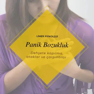 Psk. İpek İrem Doğan profilinde yer alan galeri fotoğrafı.
