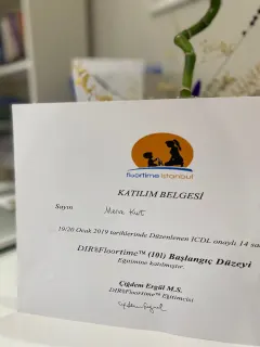 Dkt. Merve Kurt profilinde yer alan galeri fotoğrafı.