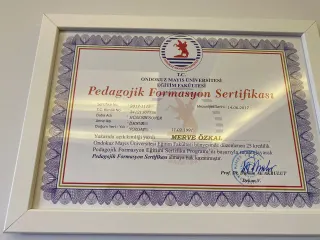 Psk. Merve Özkal Güral profilinde yer alan galeri fotoğrafı.