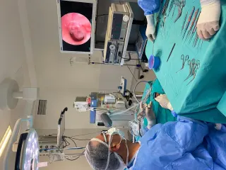 Prof. Dr. Ali Özdek profilinde yer alan galeri fotoğrafı.