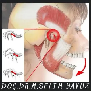 Doç. Dr. Muhammed Selim Yavuz profilinde yer alan galeri fotoğrafı.