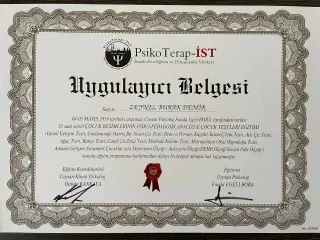 Kl. Psk. Z.Burak Demir profilinde yer alan galeri fotoğrafı.