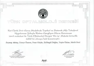 Prof. Dr. Cüneyt Özmen profilinde yer alan galeri fotoğrafı.