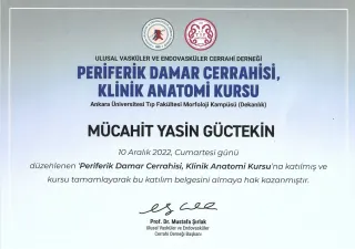 Op. Dr. M. Yasin Güctekin profilinde yer alan galeri fotoğrafı.