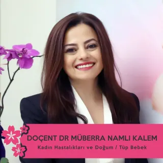 Doç. Dr. Müberra Namlı Kalem profilinde yer alan galeri fotoğrafı.