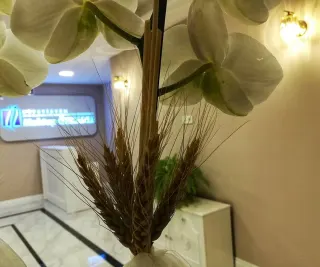 Dyt. Mehtap Özkanlı profilinde yer alan galeri fotoğrafı.