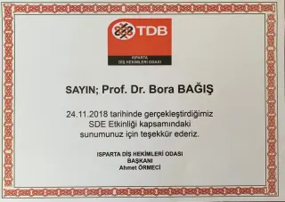Prof. Dr. Bora Bağış profilinde yer alan galeri fotoğrafı.