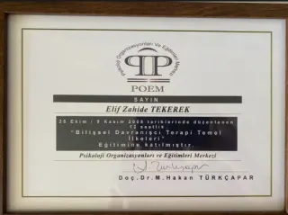 Psk. Elif Zahide Gök profilinde yer alan galeri fotoğrafı.
