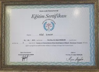 Psk. Hilal Şahin Midil profilinde yer alan galeri fotoğrafı.
