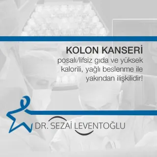 Prof. Dr. Sezai Leventoğlu profilinde yer alan galeri fotoğrafı.