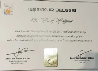 Prof. Dr. Yusuf Yağmur profilinde yer alan galeri fotoğrafı.