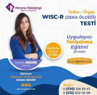 Psk. Melek Demir profilinde yer alan galeri fotoğrafı.