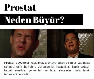 Prof. Dr. Hakkı Perk profilinde yer alan galeri fotoğrafı.