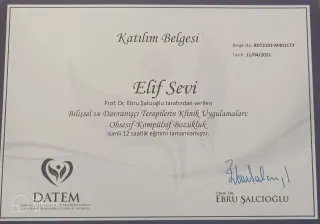 Psk. Elif Sevi Adıgüzel profilinde yer alan galeri fotoğrafı.