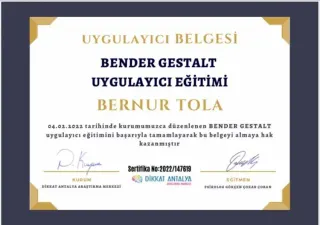 Psk. Bernur Tola profilinde yer alan galeri fotoğrafı.